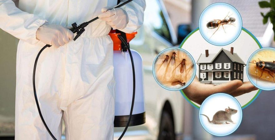 Domaniç Böcek İlaçlama