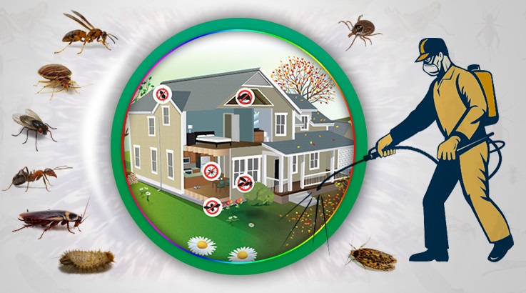 Domaniç Böcek İlaçlama