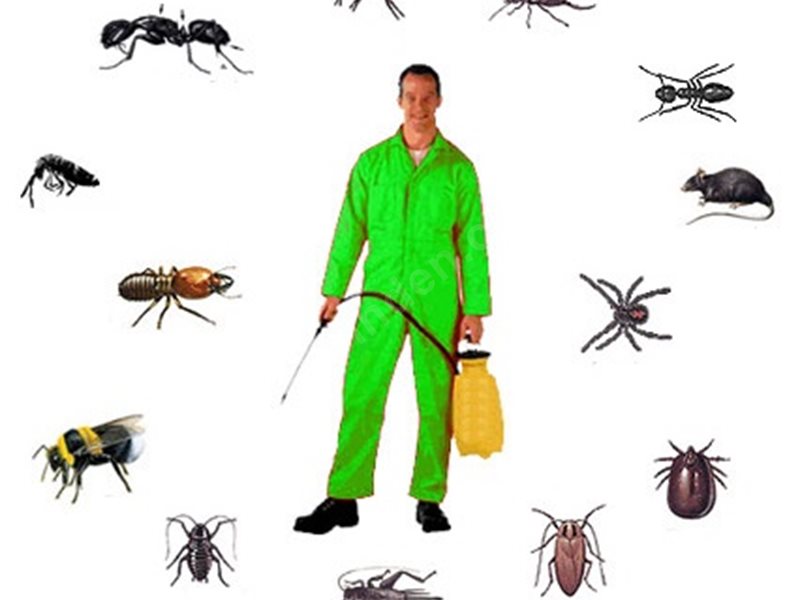 Domaniç Böcek İlaçlama